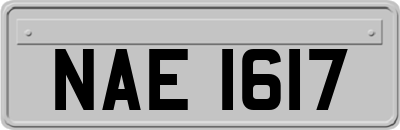 NAE1617