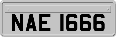 NAE1666