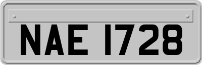 NAE1728