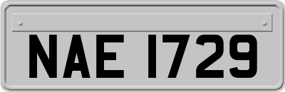 NAE1729