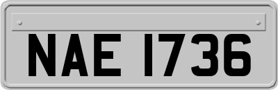 NAE1736