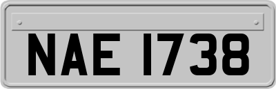 NAE1738