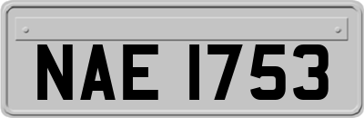 NAE1753