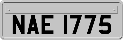 NAE1775