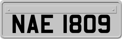 NAE1809