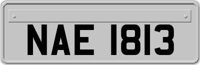 NAE1813
