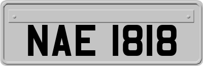 NAE1818