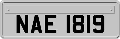 NAE1819