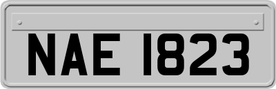 NAE1823