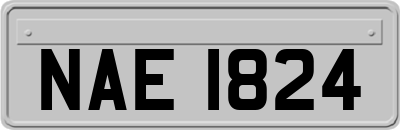 NAE1824