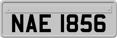 NAE1856