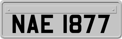 NAE1877