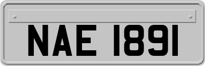 NAE1891