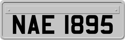 NAE1895