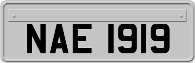 NAE1919