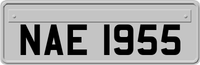 NAE1955