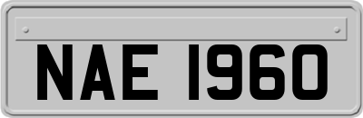 NAE1960