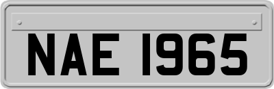 NAE1965