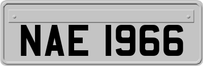 NAE1966