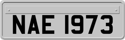 NAE1973