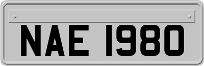 NAE1980