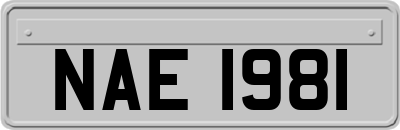 NAE1981