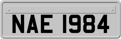 NAE1984