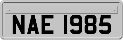 NAE1985