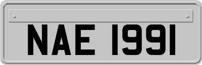 NAE1991