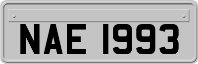 NAE1993