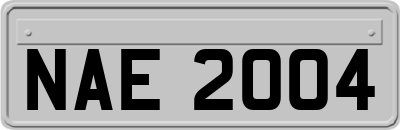 NAE2004