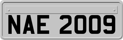 NAE2009