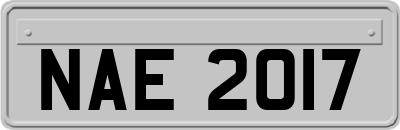 NAE2017