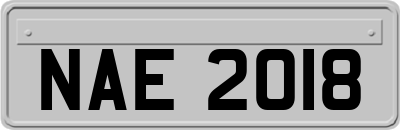 NAE2018