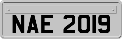 NAE2019