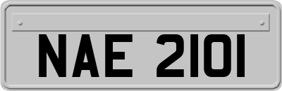 NAE2101