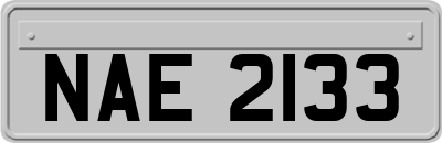 NAE2133