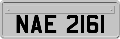 NAE2161