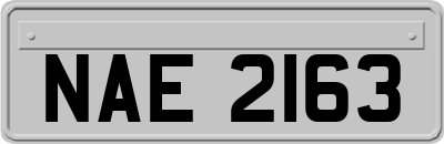 NAE2163