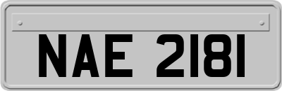 NAE2181