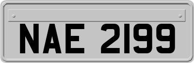 NAE2199