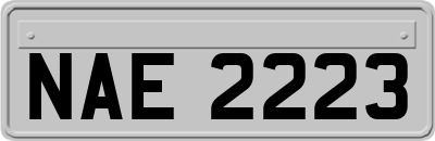 NAE2223