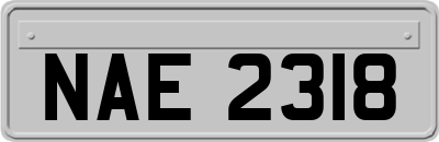 NAE2318