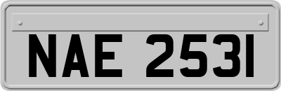 NAE2531