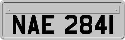 NAE2841