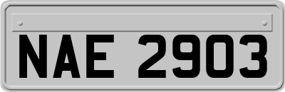 NAE2903