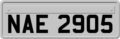 NAE2905