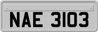 NAE3103