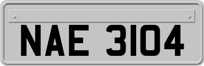 NAE3104