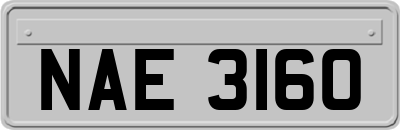 NAE3160